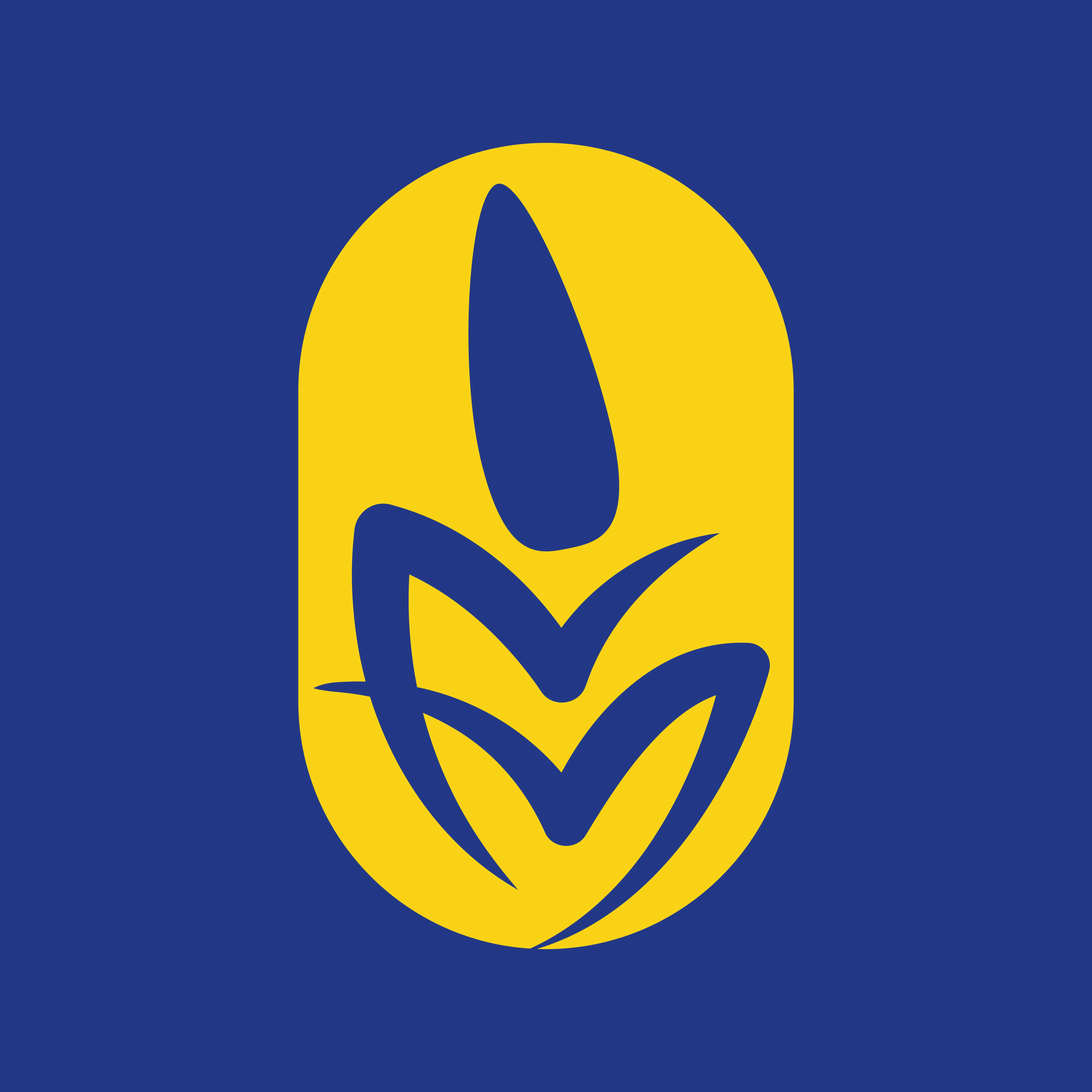 Store
